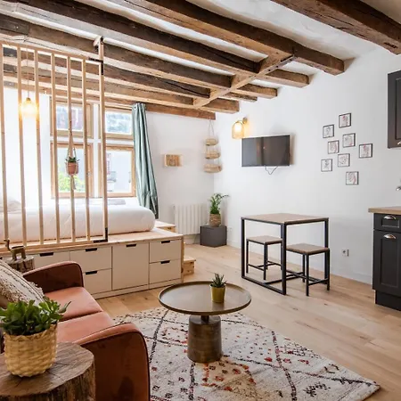 Cocon Du Vieux Appartamento Tours