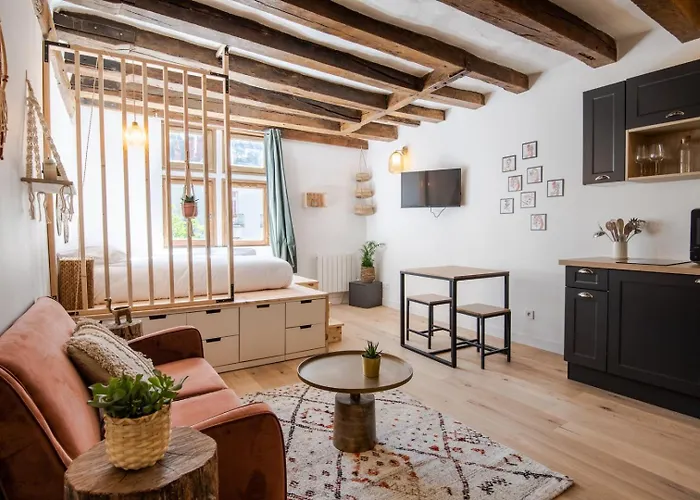 Cocon Du Vieux Apartmán Tours